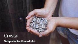  Presentation with sunflower - Colorful slides enhanced with woman hands holding organic sunflower seeds backdrop and a dark gray colored foreground