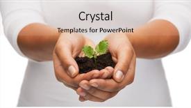  Presentation with fertility - PPT theme consisting of woman hands holding plant background and a lemonade colored foreground