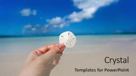  Presentation with hands holding be brave word - Theme with woman hands holding sand dollar background and a coral colored foreground