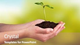  Presentation with young plant - Slide deck enhanced with woman hands holding young plant background and a  colored foreground