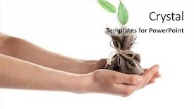  Presentation with young plant - Slide deck having woman hands holding young plant in pouch isolated on white background and a white colored foreground