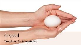  Presentation with egg - PPT theme having woman hands with egg isolated background and a  colored foreground