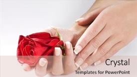  Presentation with red rose bush - Cool new slide deck with woman hands with red rose backdrop and a coral colored foreground