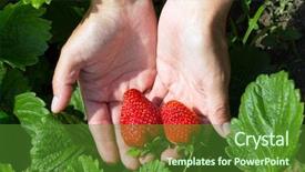 Presentation with strawberry - Audience pleasing slide deck consisting of woman hands with strawberry in garden backdrop and a tawny brown colored foreground