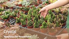  Presentation with book store retail - Presentation featuring woman hold a cactus pot background and a coral colored foreground