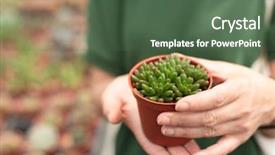  Presentation with cactus - Cool new slide deck with woman hold a cactus pot backdrop and a ocean colored foreground
