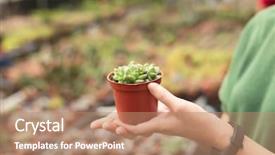  Presentation with cactus - Amazing slide set having woman hold a cactus pot backdrop and a coral colored foreground