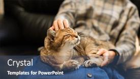  Presentation with play - 