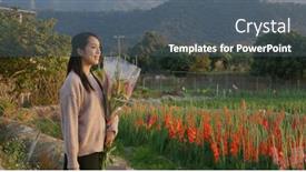  Presentation with flower woman - Beautiful theme featuring woman-hold-with-flower-bouquet backdrop and a gray colored foreground