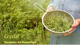  Presentation with woman in under wear - Audience pleasing PPT layouts consisting of woman-holding-a-colander backdrop and a tawny brown colored foreground
