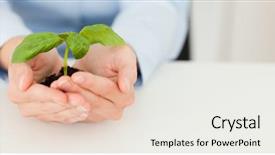  Presentation with water plant - Audience pleasing PPT theme consisting of woman holding a little plant backdrop and a white colored foreground