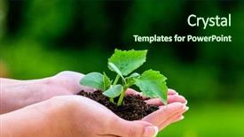  Presentation with hand holding plant - Cool new PPT theme with woman holding a small plant backdrop and a forest green colored foreground