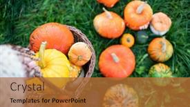  Presentation with autumn - Slide set featuring woman-holding-autumn-decorative-pumpkins background and a red colored foreground