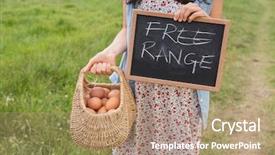  Presentation with free - Presentation theme consisting of woman holding basket of free background and a coral colored foreground