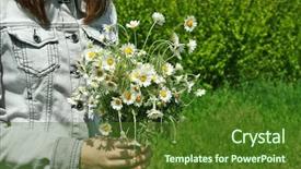  Presentation with daisy - PPT layouts consisting of woman holding bouquet of daisy flowers close up background and a tawny brown colored foreground