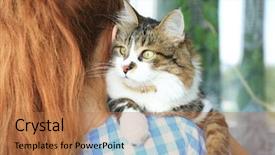  Presentation with adoption - Slide deck featuring woman holding fluffy cat adoption background and a coral colored foreground