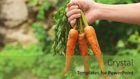  Presentation with carrots - Slides featuring woman holding fresh carrots background and a tawny brown colored foreground