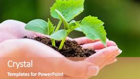  Presentation with hand holding plant - Cool new PPT layouts with woman holding plant in her hand symbolic photo for growth and interest backdrop and a coral colored foreground