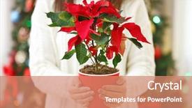  Presentation with flower woman - Amazing presentation theme having woman holding pot with christmas backdrop and a coral colored foreground