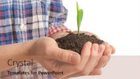  Presentation with sprout - 