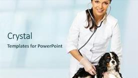  Presentation with veterinary nurse - Slide set enhanced with woman holding spaniel with wound background and a sky blue colored foreground