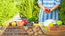  Presentation with fresh fruits vegetables - Slides having woman holding tomatoes near table with fresh fruits and vegetables outdoors background and a coral colored foreground