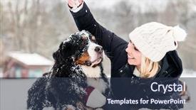  Presentation with snow day - Presentation design enhanced with woman hugging her dog background and a tawny brown colored foreground