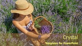  Presentation with woman gathering - Slide set enhanced with woman-in-a-straw-hat background and a tawny brown colored foreground
