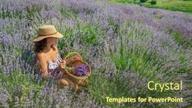  Presentation with woman gathering - Amazing slide set having woman-in-a-straw-hat backdrop and a tawny brown colored foreground