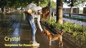  Presentation with healthy workplace full length side view - PPT theme having woman in autumn clothes walk background and a tawny brown colored foreground