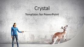  Presentation with kangaroo - Audience pleasing PPT theme consisting of woman in casual holding kangaroo backdrop and a  colored foreground