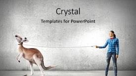  Presentation with kangaroo - Presentation having woman in casual holding kangaroo background and a  colored foreground