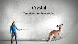  Presentation with kangaroo - Presentation theme having woman in casual holding kangaroo background and a  colored foreground