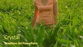  Presentation with field - Colorful PPT theme enhanced with woman-in-field-backlight backdrop and a tawny brown colored foreground