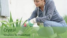  Presentation with garden - Presentation design having woman in garden spraying insecticide background and a seafoam green colored foreground