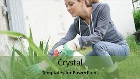  Presentation with plants - Amazing presentation design having woman in garden spraying insecticide backdrop and a seafoam green colored foreground