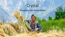  Presentation with indian village - Slide deck with tree trunk showing growth rings background and a tawny brown colored foreground.