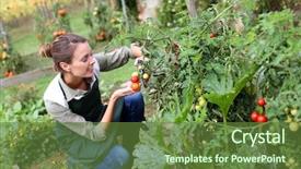  Presentation with organic garden supply store - Presentation design consisting of woman in kitchen garden picking background and a tawny brown colored foreground