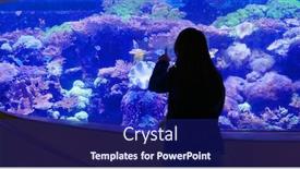  Presentation with fish aquarium - Audience pleasing presentation theme consisting of woman-in-the-aquarium backdrop and a navy blue colored foreground