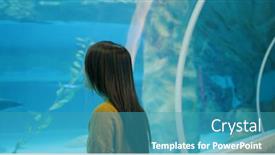  Presentation with fish aquarium - PPT theme consisting of woman-in-the-aquarium background and a teal colored foreground