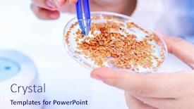  Presentation with quality control - Slide set enhanced with woman-in-the-seed-quality background and a  colored foreground