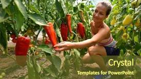  Presentation with vegetable garden - PPT theme having woman in the vegetable garden background and a tawny brown colored foreground