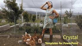  Presentation with poultry farm - PPT theme consisting of woman-in-the-village background and a tawny brown colored foreground