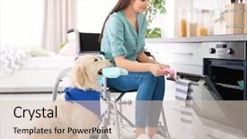  Presentation with guide dog helping blind woman - Beautiful slides featuring woman in wheelchair cooking backdrop and a lemonade colored foreground