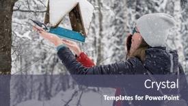  Presentation with birds - Slides enhanced with woman-in-winter-jacket-feeding background and a dark gray colored foreground