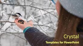 Presentation with winter forest - Presentation theme having woman-in-winter-jacket-feeding and a tawny brown colored foreground