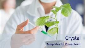  Presentation with chemical plant - Cool new PPT theme with woman injecting plant stalk backdrop and a lemonade colored foreground