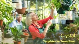  Presentation with greenhouse - PPT layouts enhanced with woman inspecting potted plants hanging at greenhouse background and a tawny brown colored foreground