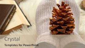  Presentation with pine cone - Beautiful theme featuring woman-legs-pine-cone backdrop and a soft green colored foreground