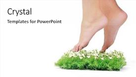  Presentation with oasis - PPT theme having woman legs walking on small peace of green grass isolated on white representing last oasis concept background and a white colored foreground